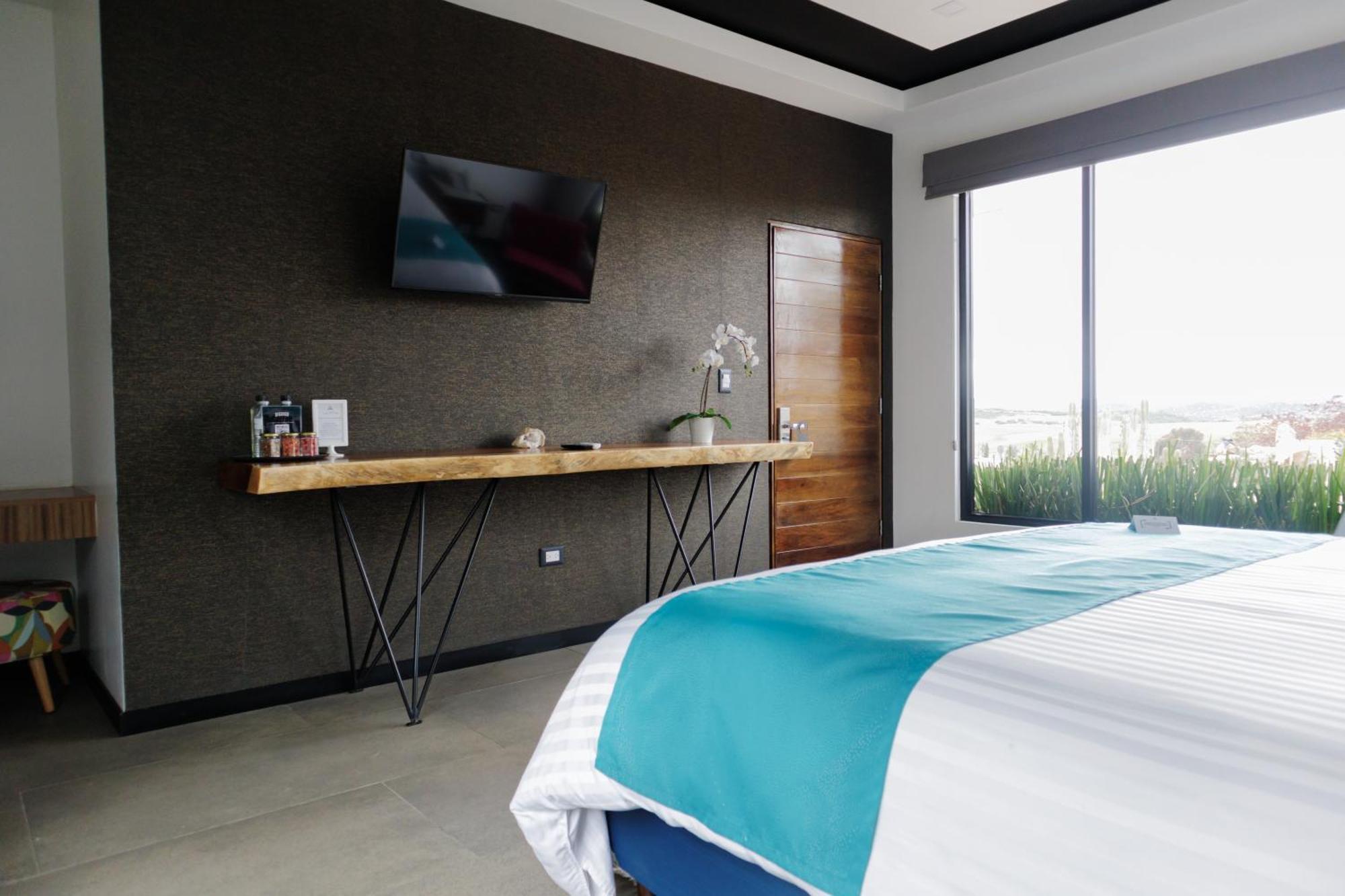 La Cima Del Valle Valle de Guadalupe Ngoại thất bức ảnh